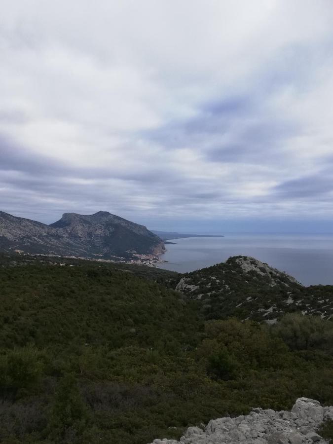 Appartamenti Le Conchiglie E Le Stelle Marine Кала-Гононе Экстерьер фото