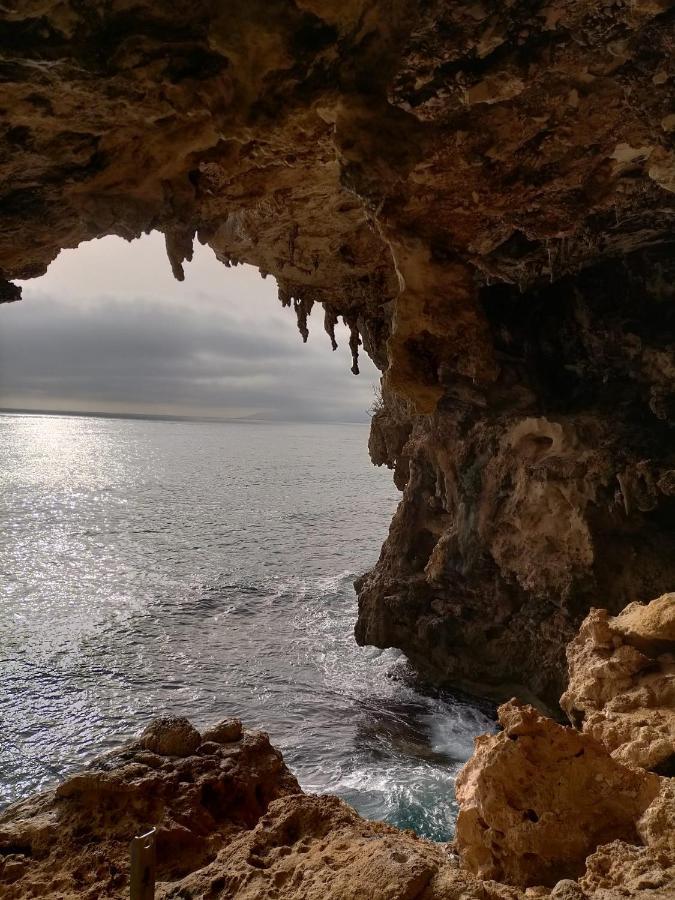 Appartamenti Le Conchiglie E Le Stelle Marine Кала-Гононе Экстерьер фото