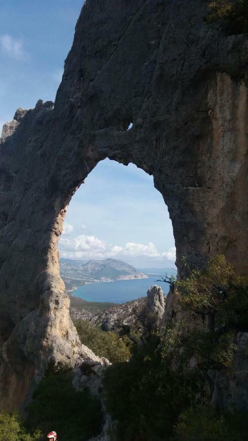 Appartamenti Le Conchiglie E Le Stelle Marine Кала-Гононе Экстерьер фото